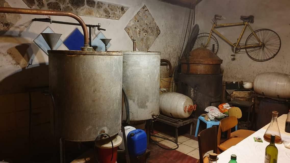 Apartman Bruna Šibenik Buitenkant foto